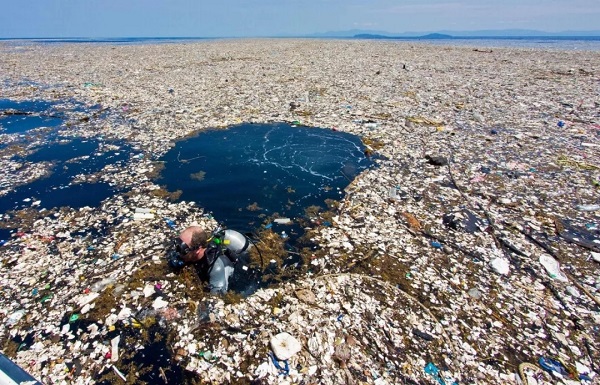 纪录片《蓝色星球2》展示了令人震惊的海洋塑料污染.