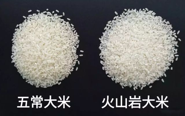 比《舌尖2》里的大米更好吃的火山岩大米 妈妈