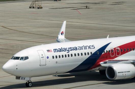 英专家称发现MH370：在柬埔寨密林 机身似有缺口
