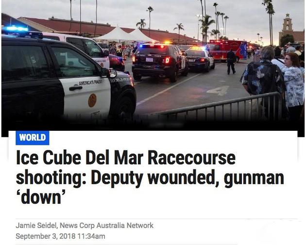Ice Cube演唱会发生枪击事件 已被警方开枪制服