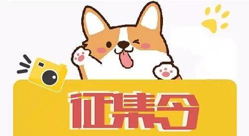 5万大奖征集天津滨海新区城市形象广告语、logo