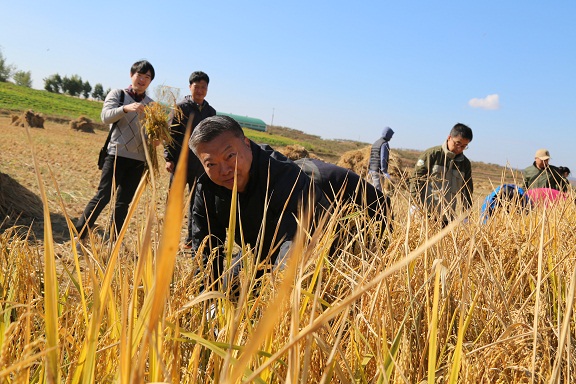 朝鲜纪念周恩来访问宅奄合作农场60周年