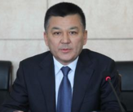 新疆经济和信息化委员会主任卫利·巴拉提被查