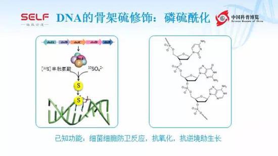 关于基因编辑 你知道这些知识吗？