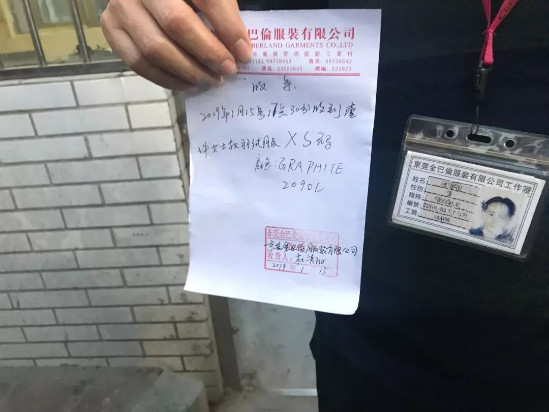 记者追击:真假加拿大鹅再生事端 网易考拉赴东莞实物鉴定无果