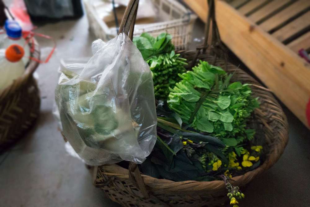 村民自种的有机蔬菜