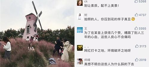 29岁小伙不幸殒命 这类“暴富生意”害人不浅