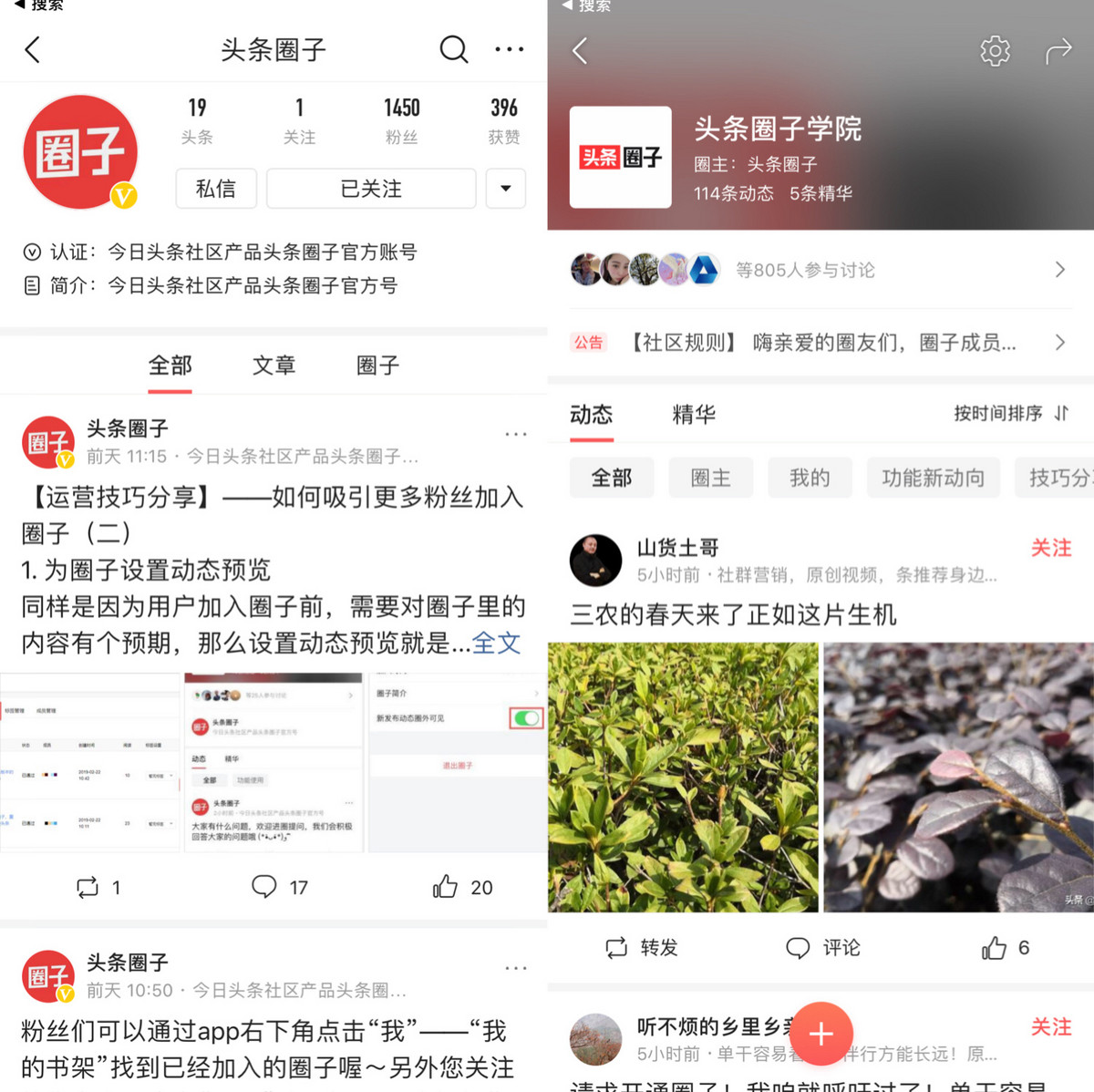 焦点分析| “头条圈子”能帮今日头条突破流量天花板吗?