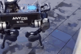 喂，315吗？我花299元买到一只人工智障！