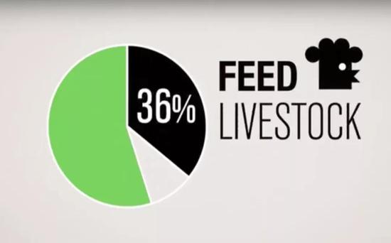 人造肉公司上市破纪录，主要客户并不是素食者