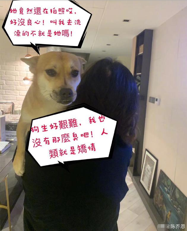 爱犬不愿洗澡被调侃狗随主人 陈乔恩：我最爱泡澡