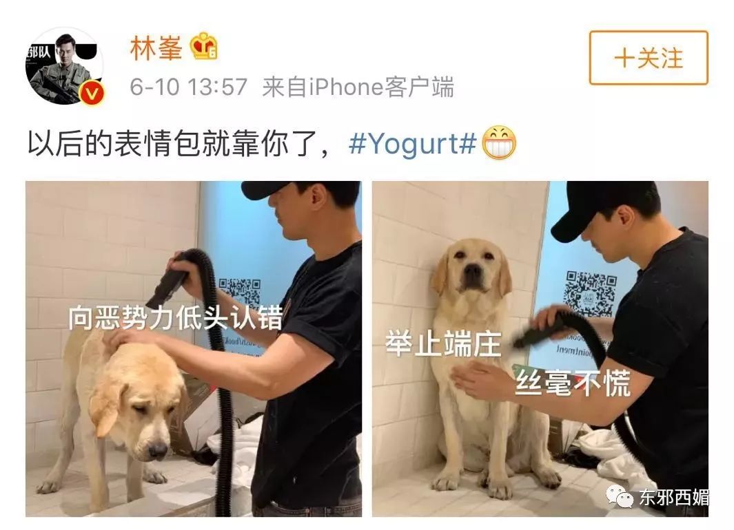 林峰嫩模女友图鉴：身高168cm，胸大腰细大长腿，其他一切好商量