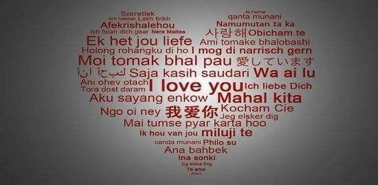 139C9BE059990B8E0A3AE494043F344198E9FEF8_w550_h269.jpg