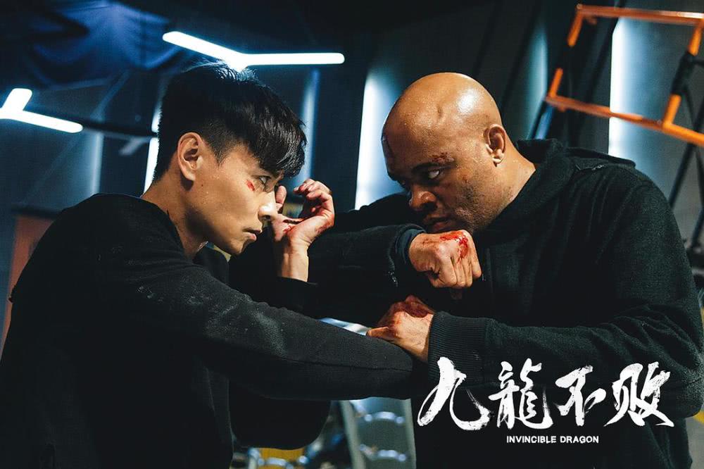 张晋电影《九龙不败》拳拳到肉，票房为何不敌《叶问3》