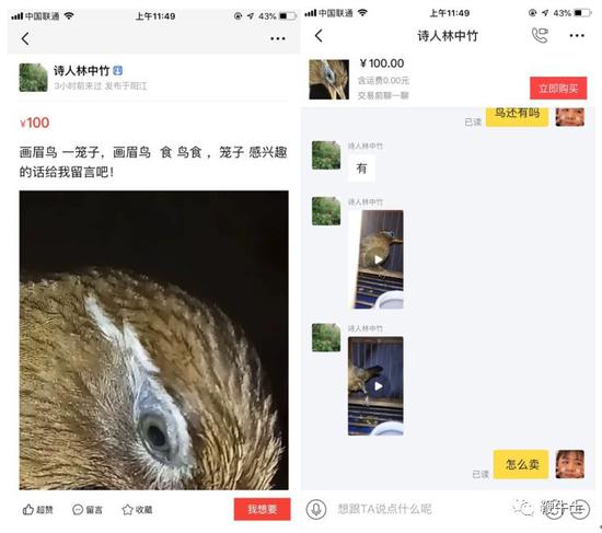 闲鱼、转转上可以买到野生保护动物制品 我们试了试