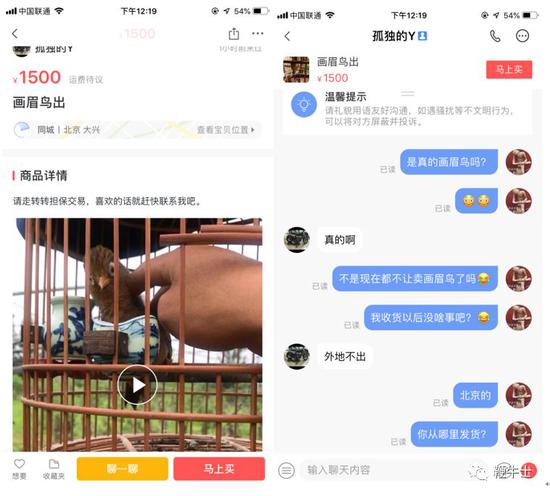 闲鱼、转转上可以买到野生保护动物制品 我们试了试