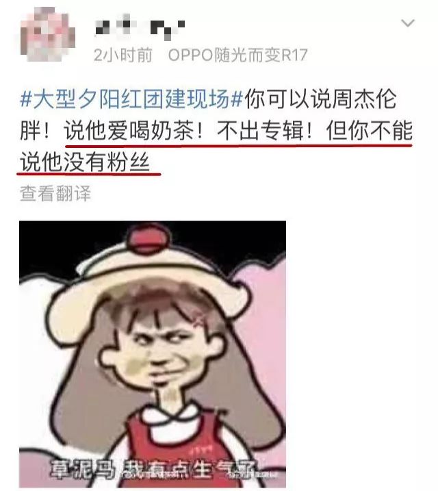 周杰伦中老年粉VS蔡徐坤铁军：激战16小时终于登顶！