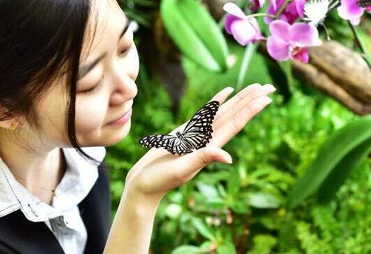 天美新天地蝴蝶园揭幕