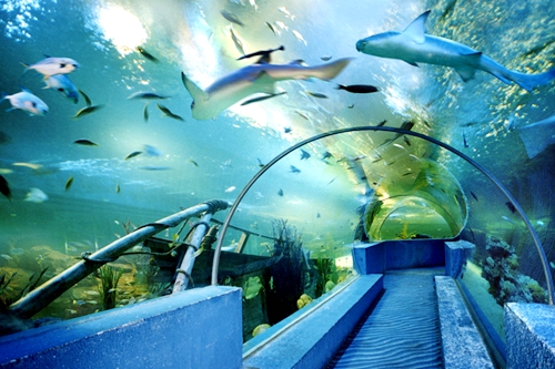 溧水gdp_刚刚,南京各区发布一季度GDP数据,第一名竟是(3)