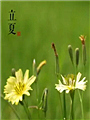 գΪʲô˵“ָ ӭ”