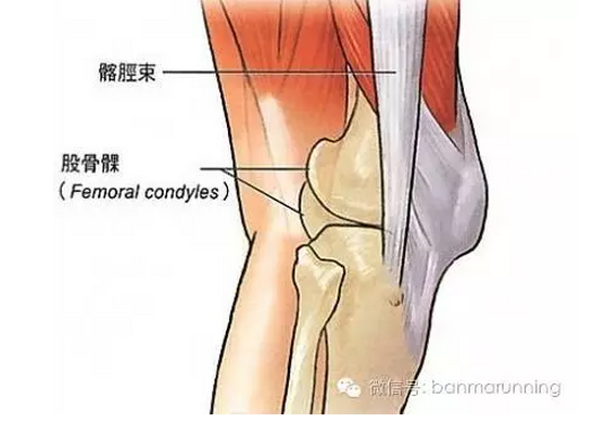 不学会这9个动作,小心疼到弯不了腿的髂胫束综