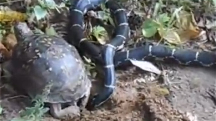 章馨月:女人要顶天立地 不追求都敏俊-20140