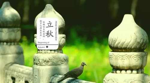 ʳ࣬