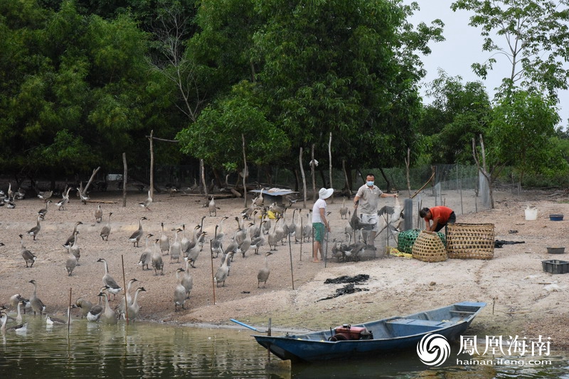 琼海阳江依托红色资源打造200户幸福家庭
