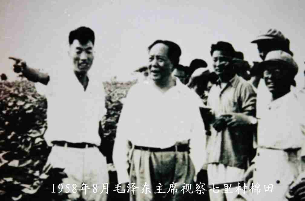 1958年8月6日，毛泽东来到河南省新乡七里营人民公社，察看棉花长势。