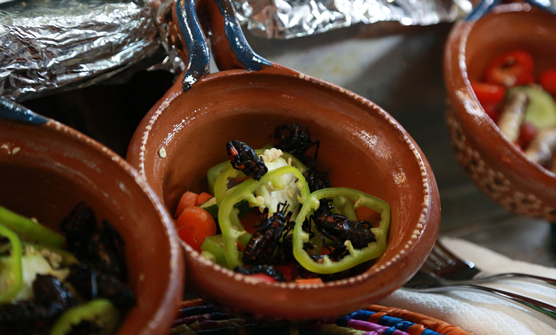 组团吃蝎子!郭晶晶紧捂胸口 刘翔呛出眼泪(组图)