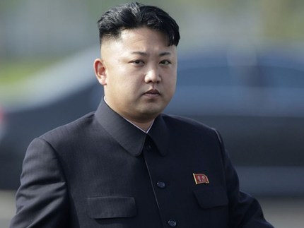韩防长：有计划利用特种部队消灭朝鲜领导人