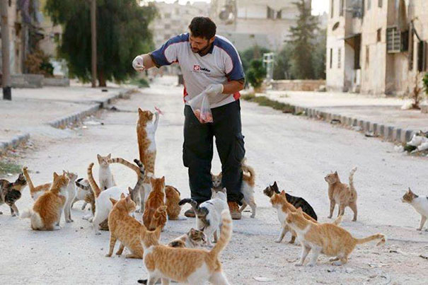 当人们都逃离叙利亚时 他选择留下照顾难民和流浪猫 - ※- 娱乐贴图 - ii23休闲社区