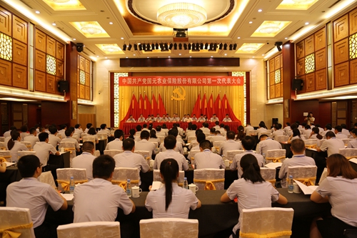 中国共产党国元农业保险股份有限公司第一次代