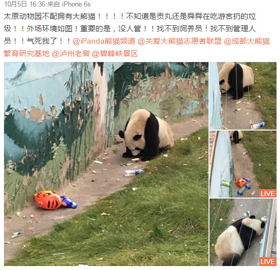它可能是世界上最惨的熊猫 - 梅思特 - 你拥有很多,而我,只有你。。。 它可能是世界上最惨的熊猫 - 梅思特 - 你拥有很多,而我,只有你。。。