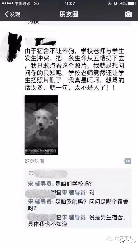 北京一高校学生收留流浪狗 宿管将狗从5楼扔下(图)