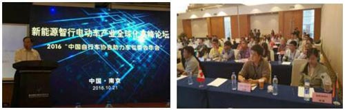 第34届江苏国际新能源电动车展在宁开幕(图6)