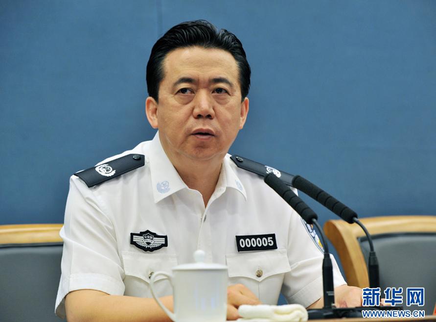 公安部副部长孟宏伟当选国际刑警组织主席