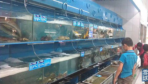 北京水体污染致超市活鱼下架？市食药监局回应
