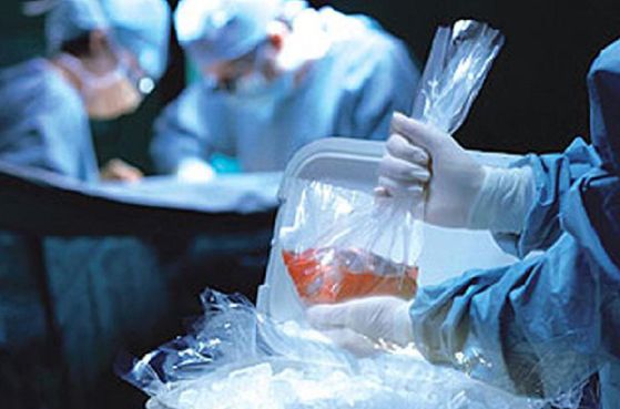 中国器官移植：有钱的等器官 没钱的放弃手术