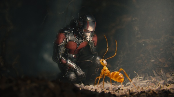 《蚁人2》将于今年6月开拍 莎朗·斯通有望出演