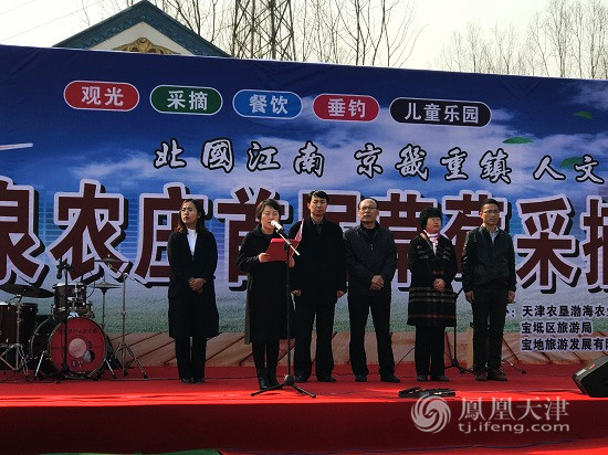 莫辜负 莓 好春光 晶宝草莓采摘邀你宝坻踏春!