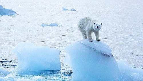 美研究报告:北极冰川继续融化或加剧中国雾霾