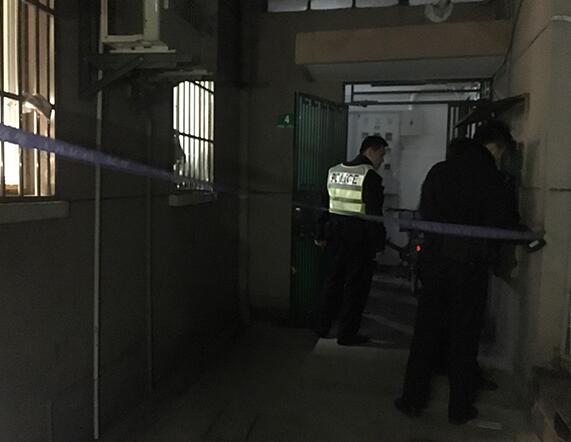 上海一居民楼冷柜现数十猫尸 住户：深夜有杀猫声