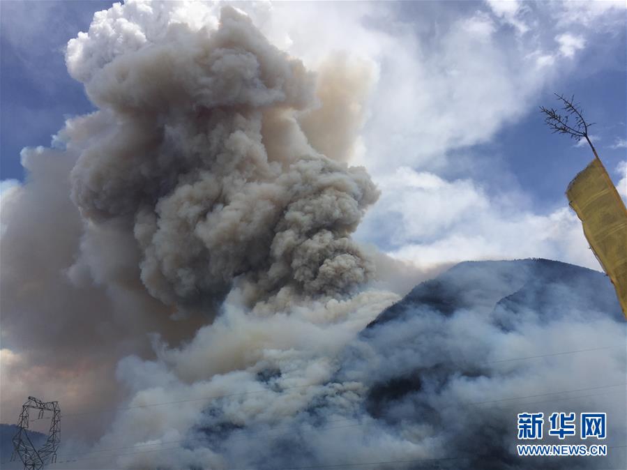 人口死亡_中国人口死亡高峰(2)