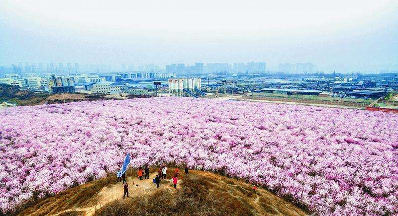 西安思源学院是被陕西省政府命名的"绿色校园",享有"花园式校园"的