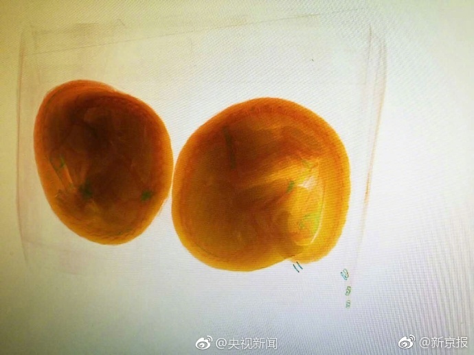 警方查获2只穿山甲 其身体被剥鳞冷冻 - 梅思特 - 你拥有很多,而我,只有你。。。 警方查获2只穿山甲 其身体被剥鳞冷冻 - 梅思特 - 你拥有很多,而我,只有你。。。