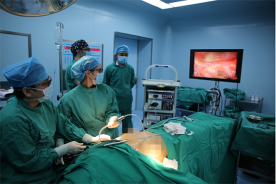 德国宝俪胸假体湖南首发会在长沙美莱召开