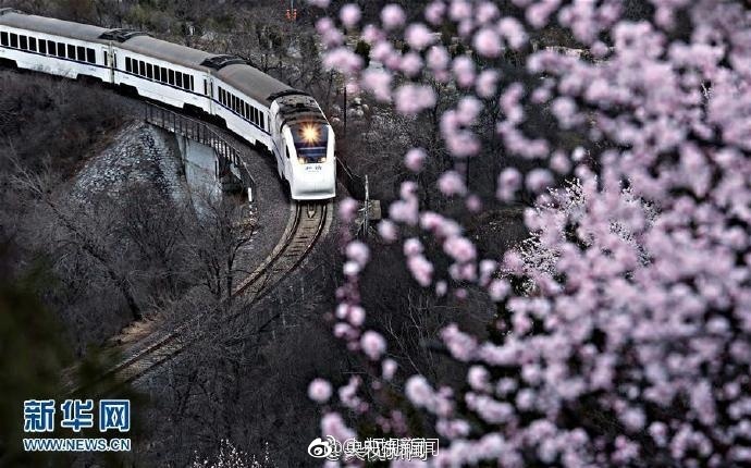 “开往春天的列车”人满为患 因穿越花海可赏景