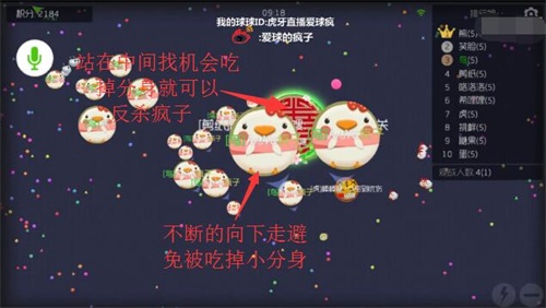 球球大作战高阶技巧 虎牙直播疯子完成同体积