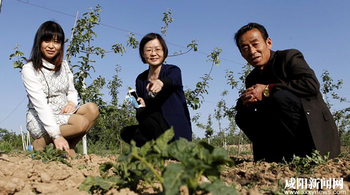 以感恩的心帮扶困难群众—礼泉张咀村扶贫脱贫见闻